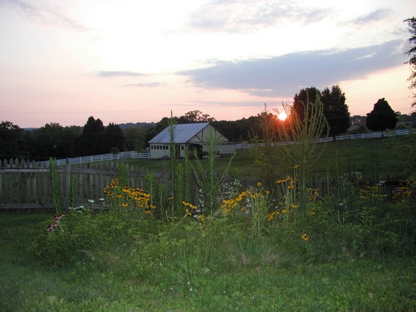 barn_sunset2.jpg