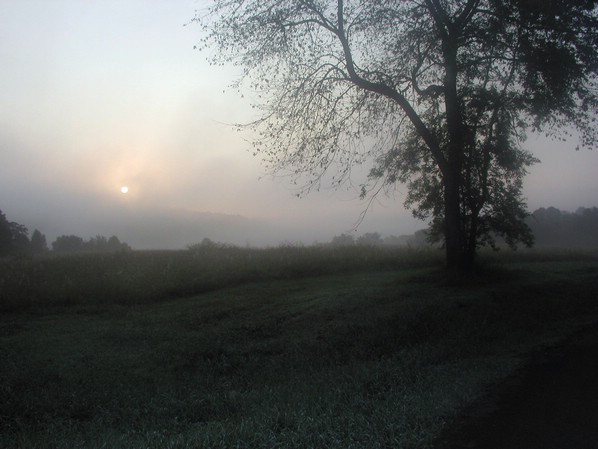 misty_sunrise.jpg