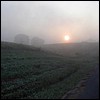 misty_sunrise2.jpg
