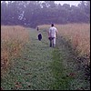 walking_dogs.jpg