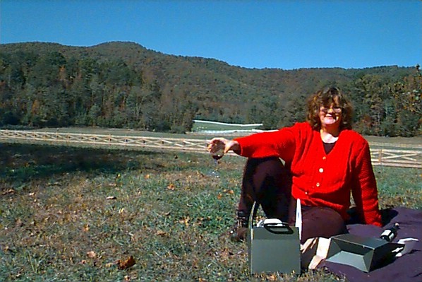 picnic.jpg