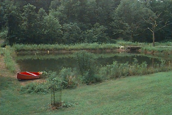 pond.jpg
