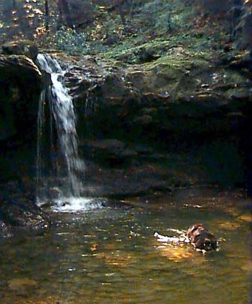 xena_falls_swim.jpg