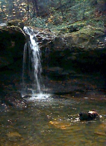 xena_falls_swim2.jpg