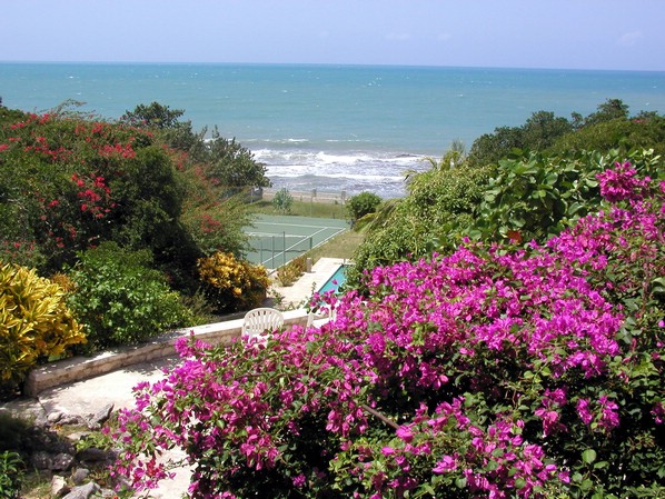 ocean_view1.jpg