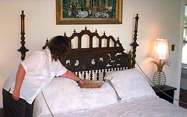 lara_catonbed.jpg