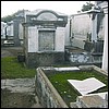 no11.jpg