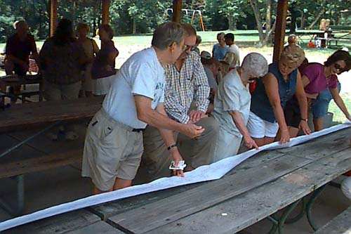 Unfurling the family tree