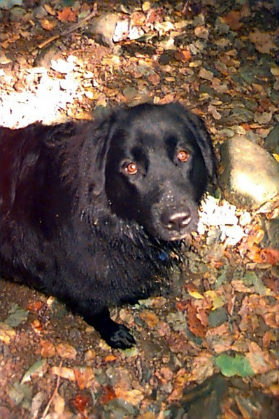 xena1.jpg