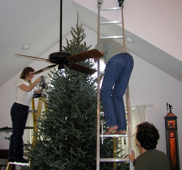 tree_decoration2.jpg