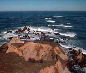view from the top of Point Arena Lighthouse