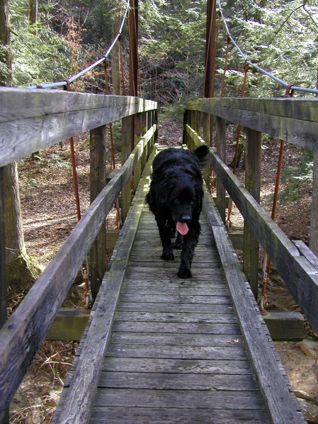 xena_bridge.jpg