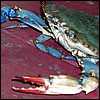 crab.jpg