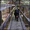 xena_bridge.jpg