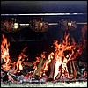 roasting_turkeys.jpg